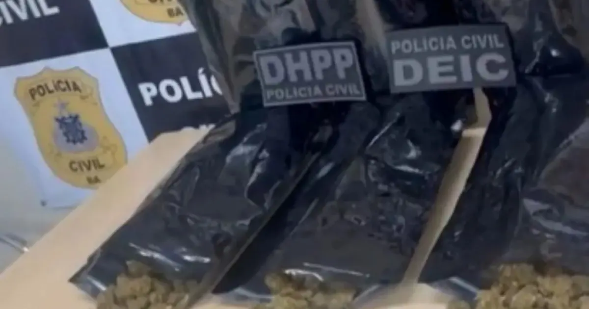 Polícia apreende carga de drogas que seria vendida em micareta de Feira de Santana